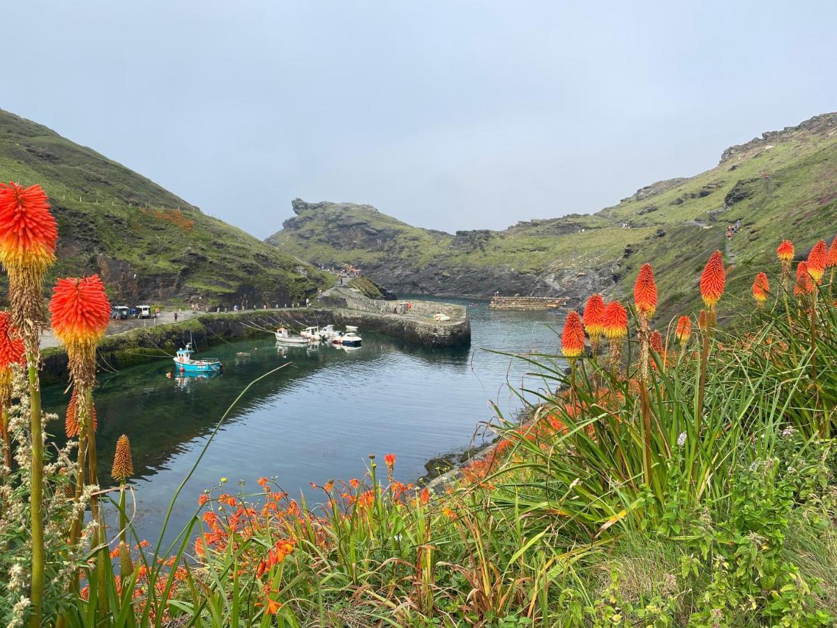 Harbour Light Apartment Boscastle Bagian luar foto