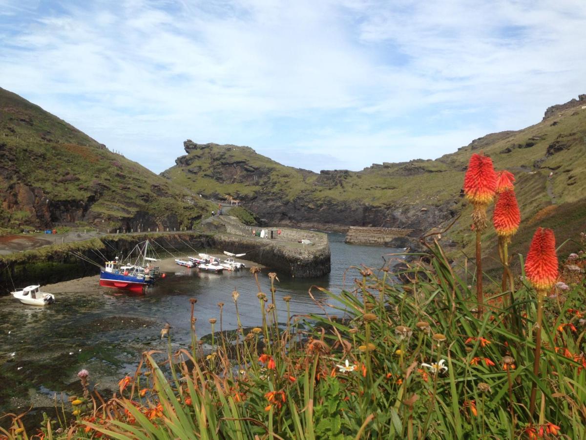 Harbour Light Apartment Boscastle Bagian luar foto
